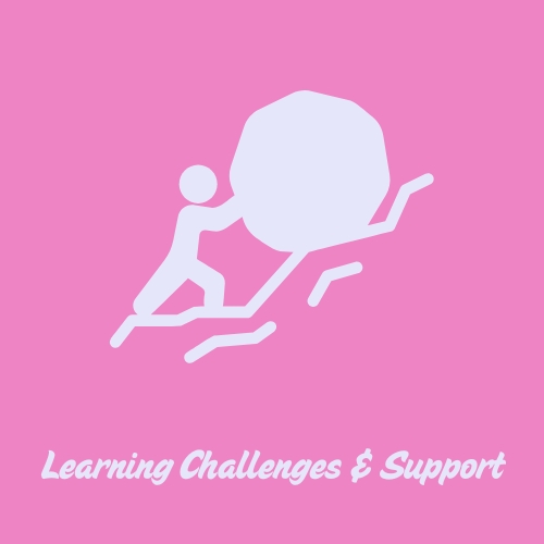 Learning Challenges & Support